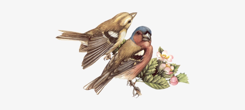 Tube Pour Vos Montages - Flower Bird Vintage Paper Ornament (round), transparent png
