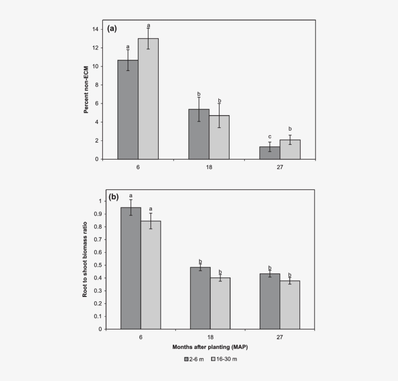 Douglas Fir Seedling Percent Non Ecm And (b) Ratio - Cloning Graphs, transparent png