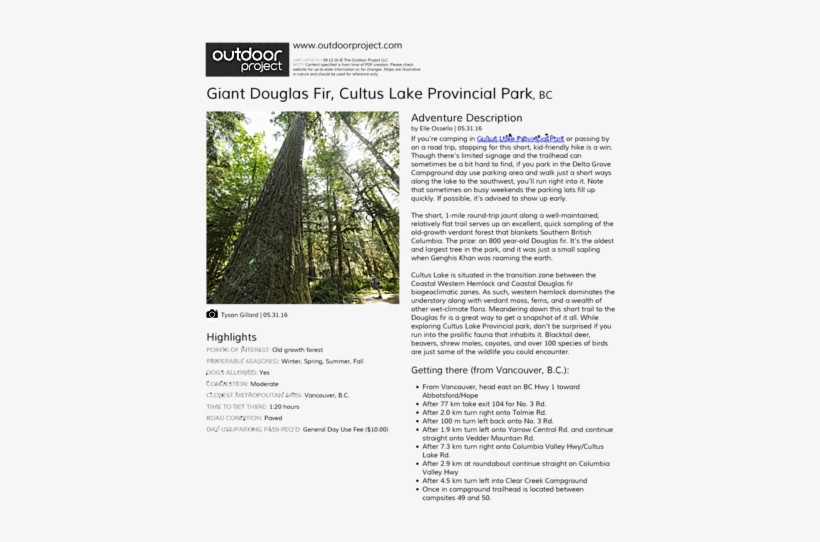 Giant Douglas Fir Field Guide - Prospect State Scenic Viewpoint Oregon, transparent png