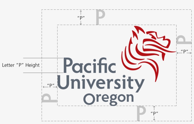 Minimum Size Diagram For The Pacific University Logo - Pacific University Boxers Logo, transparent png