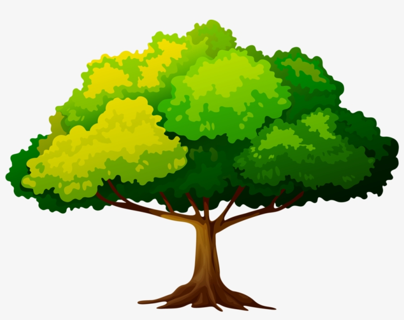 Яндекс - Фотки - Tree, transparent png