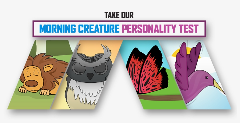 Personalitypromo - Anti Corinthians, transparent png