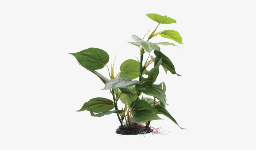 Adds A Realistic Look To Your Aquarium With Colours - Fluval Plants, transparent png