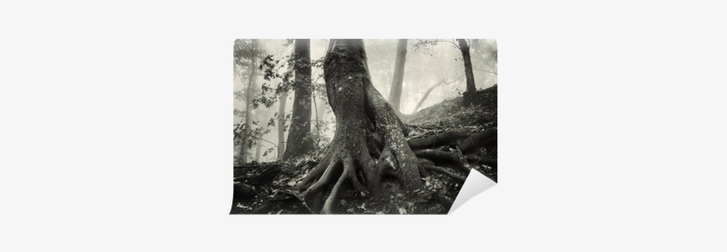 Old Tree With Huge Roots In A Spooky Forest With Dark - Tree Of Hands [book], transparent png