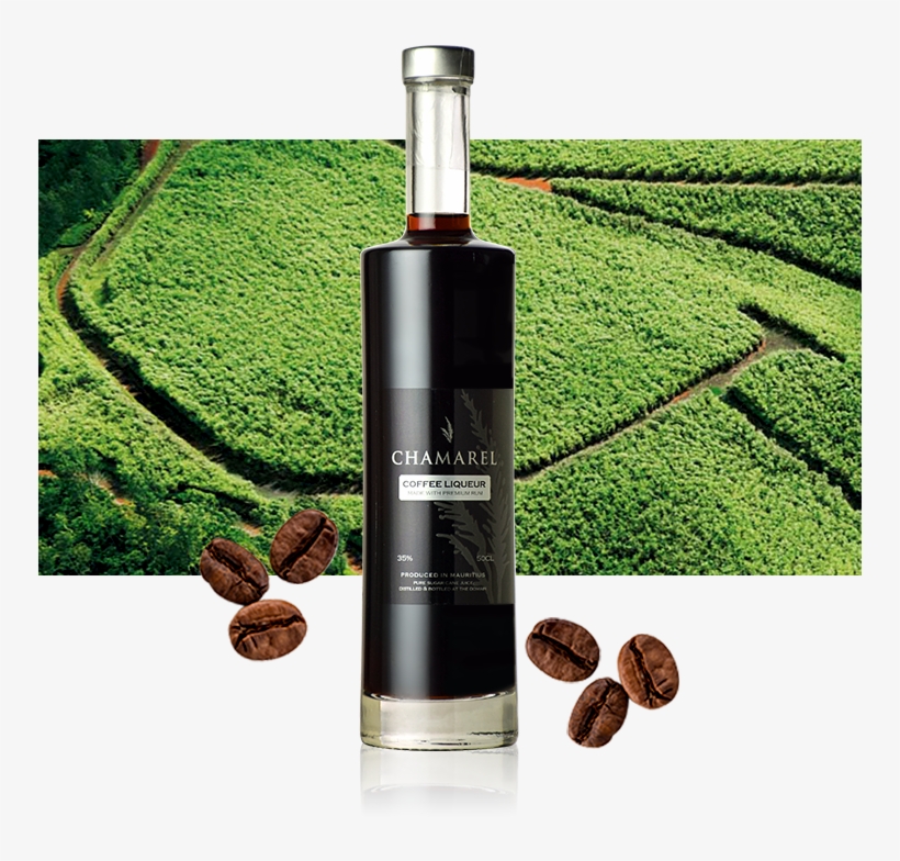 Coffee Bottle Bg - Unmanned Aerial Vehicle, transparent png