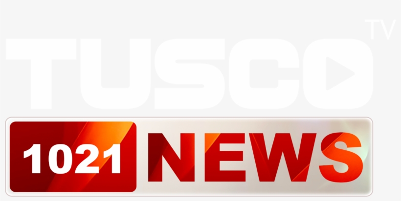 News Logo White - Television, transparent png