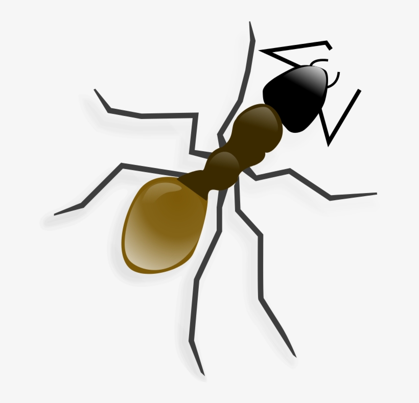 La Hormiga - Ant Clip Art, transparent png