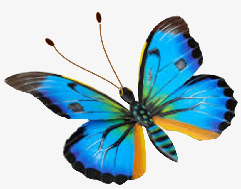 Hormiga, transparent png