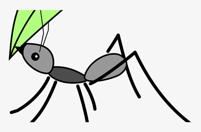 Picaduras De Hormiga - Ant Carrying Leaf Cartoon, transparent png
