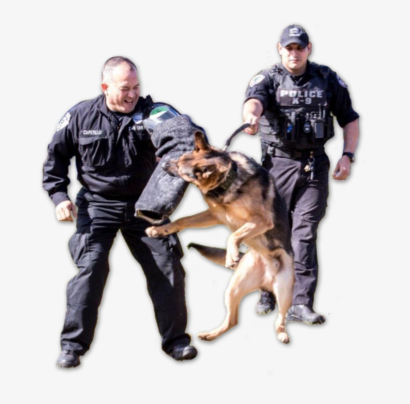 Police, transparent png