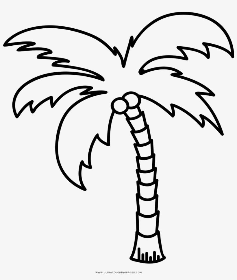 Dibujo De Palmera Para Colorear Ultra Coloring Pages - Palm Tree Outline Png, transparent png