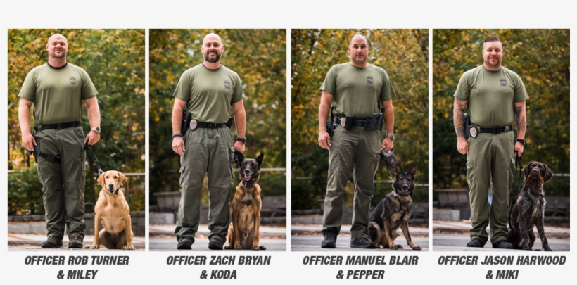 Georgia Tech K9 Unit, Photos By Dalton Touchberry - German Shepherd Dog, transparent png