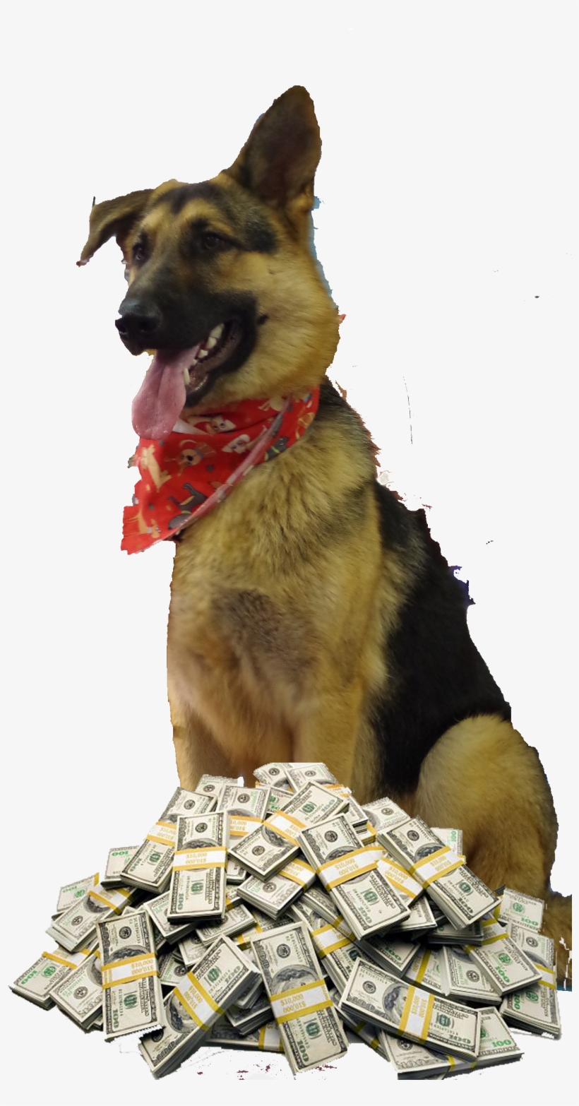 2014 Raffle Dog Image - Passive Income: Turn Your Skills Into Money Without, transparent png