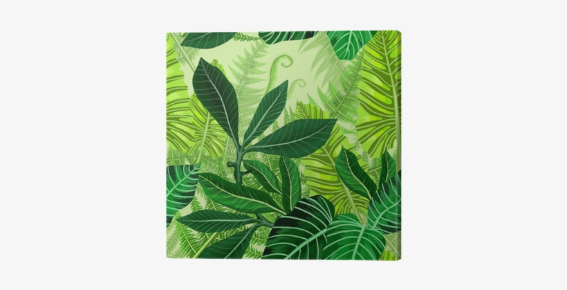 Cuadro En Lienzo Patrón Sin Costuras Con Hojas De Palmeras - Leaf, transparent png