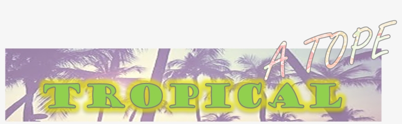 Camisetas Con Piñas, Loros, Palmeras, Molaaaaaaaaa - Roller Coaster, transparent png