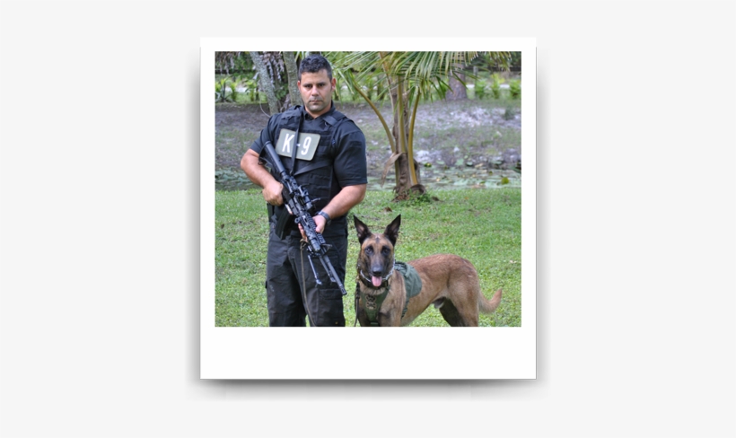 Scenarios For The K9 Training Day - Old German Shepherd Dog, transparent png