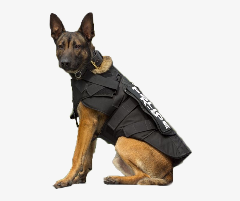 Proudly Protecting Those Who Protect Us - Police Dog Png, transparent png