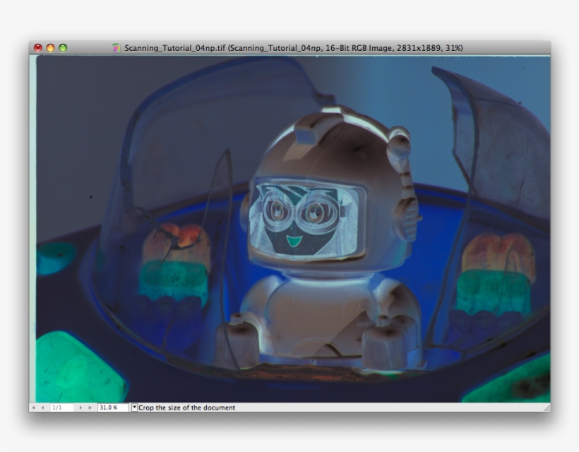 Picture - Negative, transparent png