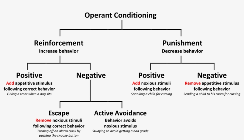 What Is 'negative Reinforcement' Definition And Real-world - Define Positive Punishment, transparent png