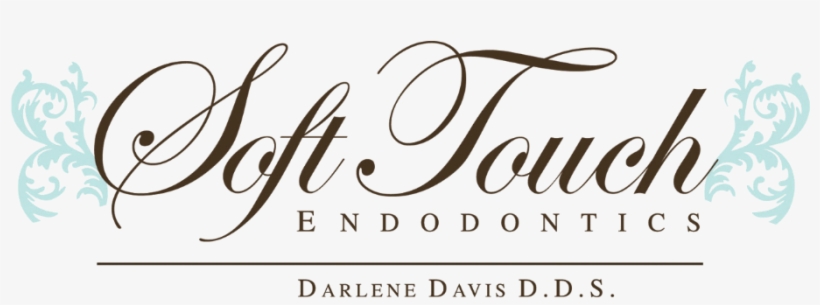 Link To Soft Touch Endodontics Home Page - Soft Touch Endodontics, transparent png