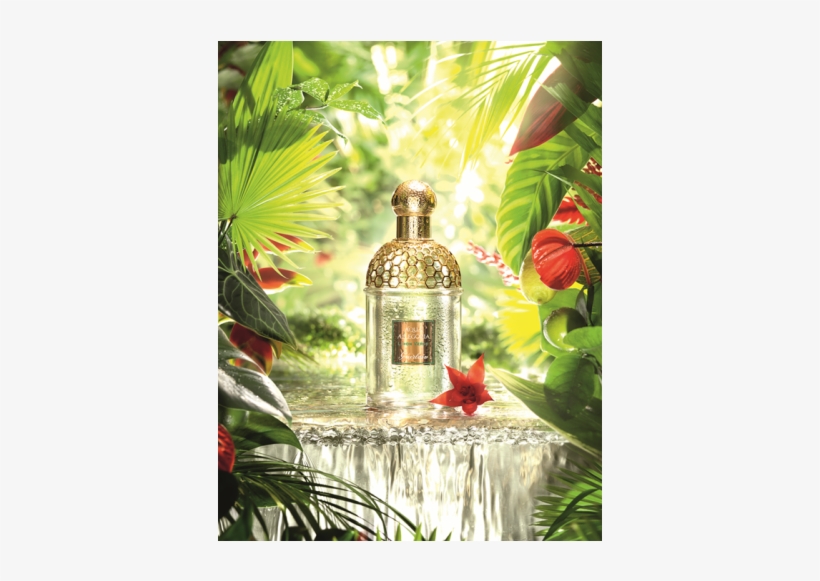 Guerlain Aqua Allegoria Limon Verde 75ml Eau De Toilette - Aqua Allegoria, transparent png