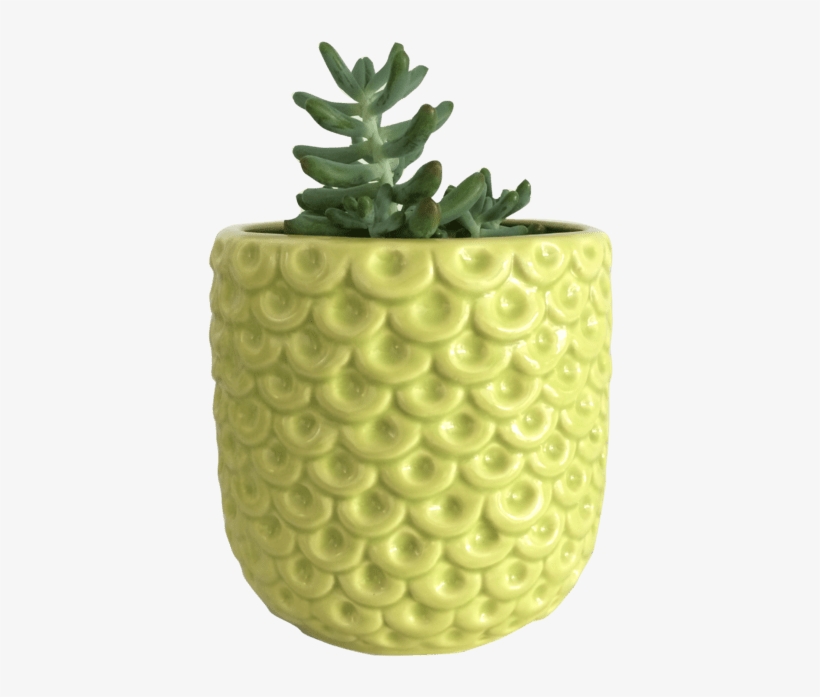 Pineapple, transparent png