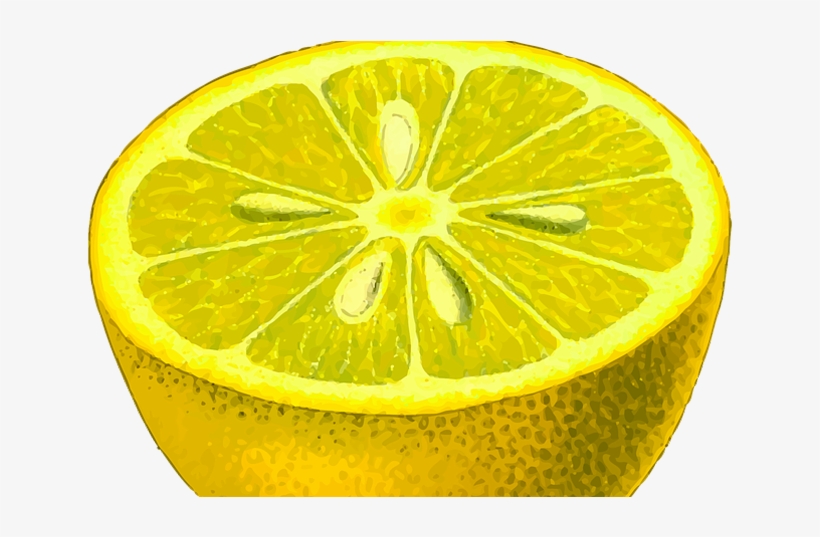 Venenos Caseros Para Garrapatas, transparent png