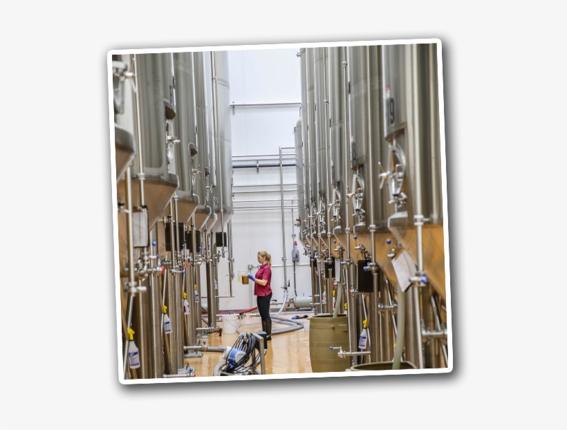 Brew Bus Brewing - Beer, transparent png