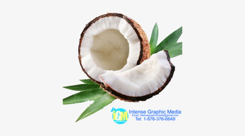 Coconut Vector Png For Kids - Coconut Oil: Teach Me Everything I Need, transparent png