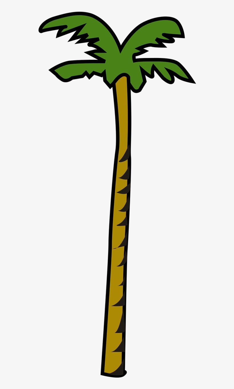 Vector Graphics,free Pictures, Free - Coconut Tree Clipart, transparent png