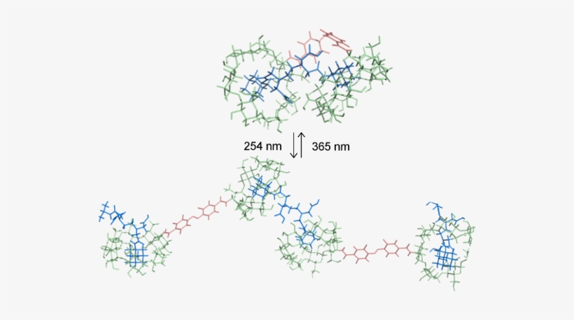 Proposed Structures Of Inclusion Complexes With The - Diagram, transparent png