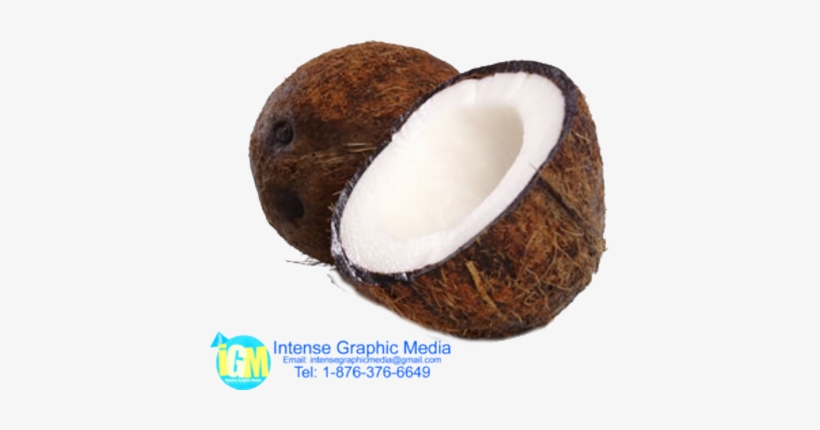 Broken Coconut Psd - Grounded Coconut Transparent Bg, transparent png