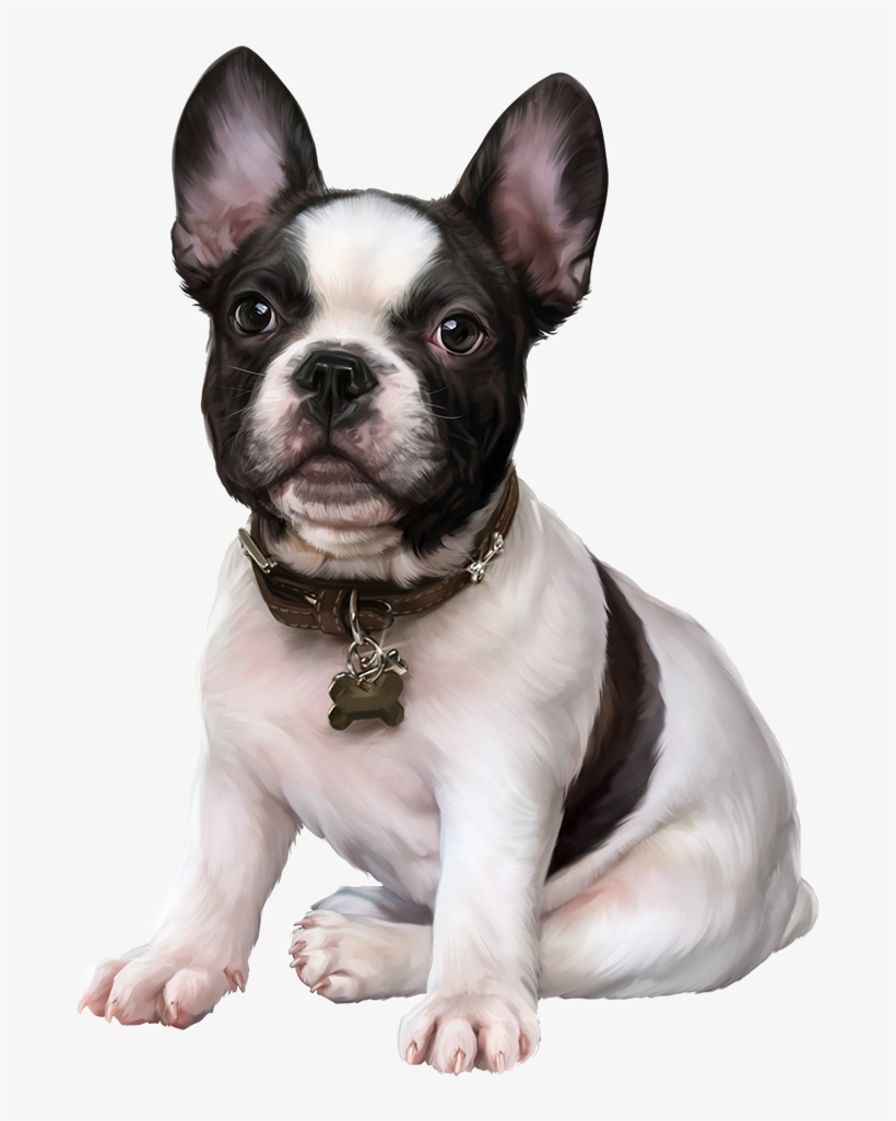 French Bulldog, Puppy Images, Clip Art, Cute Dogs, - 3d Tubes Dog, transparent png