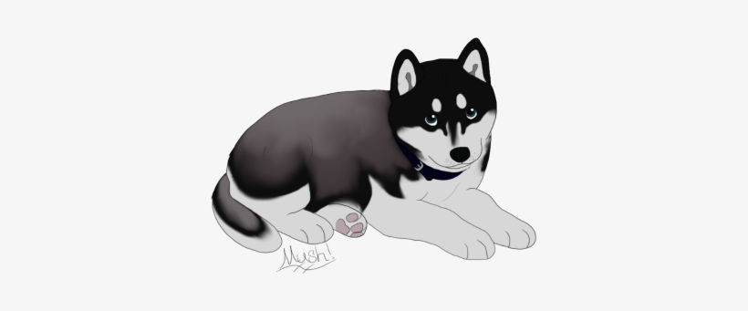 Character Design Shop - Mackenzie River Husky, transparent png