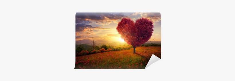 Fotomural Árbol En Forma De Corazón Rojo • Pixers® - Learning To Love Again 2 [book], transparent png
