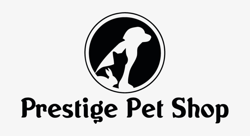 Pet, transparent png
