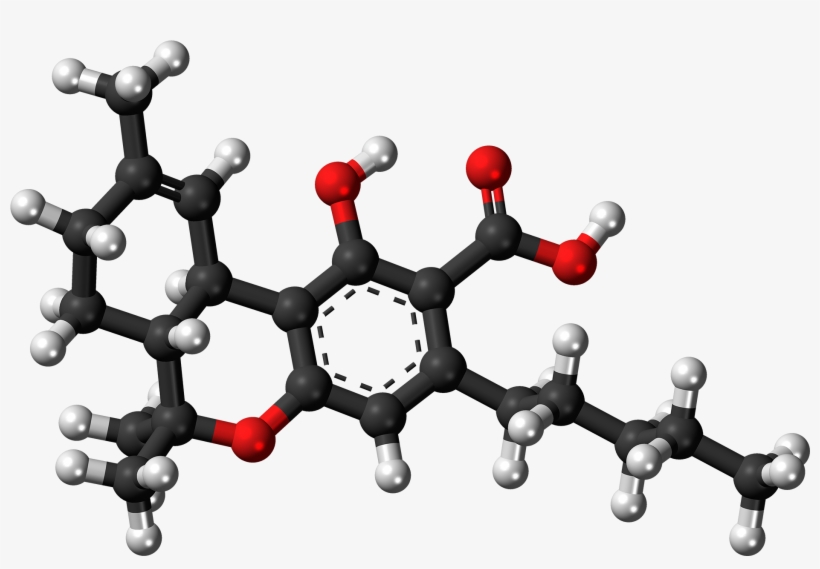 Tetrahydrocannabinolic Acid Molecule Ball - Thca Molecule, transparent png