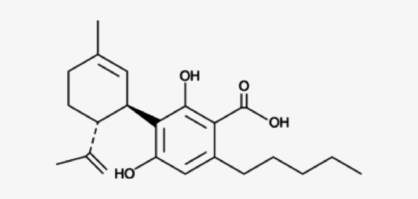 Cannabinoids Marijuana Knowledge Base - 4 Benzyloxy 2 Hydroxybenzaldehyde, transparent png