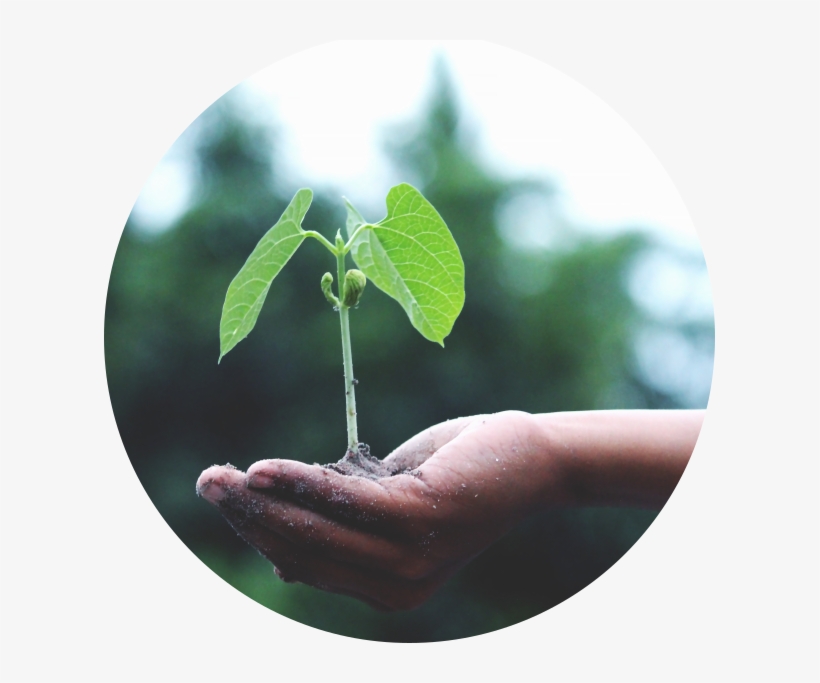 One Time Circle - Agriculture, transparent png