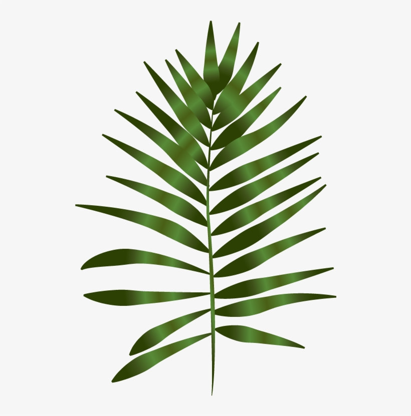 The Niki Whiting - Transparent Fern And Leaf Art, transparent png