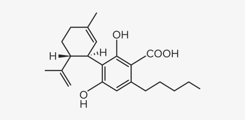 Molecules For Website Final 06 - Cannabidiolic Acid, transparent png