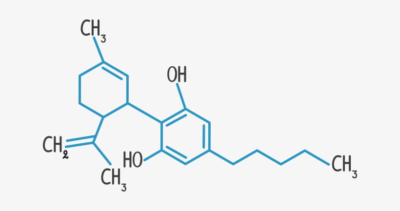 Until Recently, Thc Was Getting Most Of The Attention - Cannabidiol, transparent png