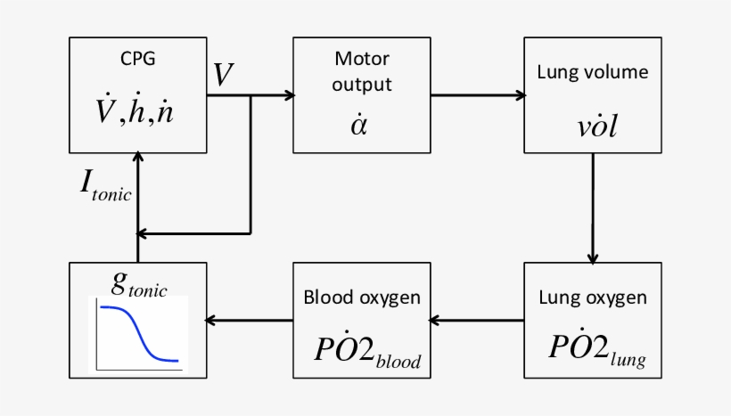 Schematic Of Closed-loop Control Circuit - Diagram, transparent png