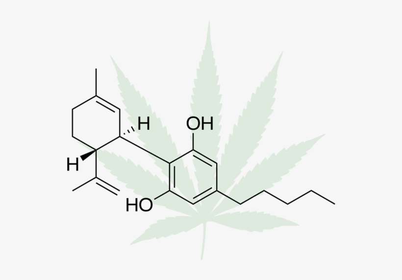 The Cannabis Compound At A Molecular Level - Molecola Cbd, transparent png