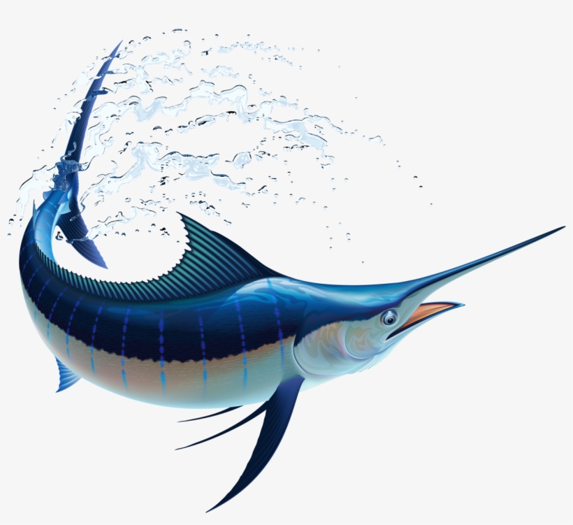 7 - Sail Fish, transparent png