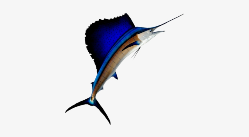 Sailfish - Pez Vela Vector Png, transparent png