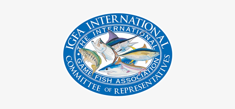 Do You Want To Know More About It - International Game Fish Association, transparent png