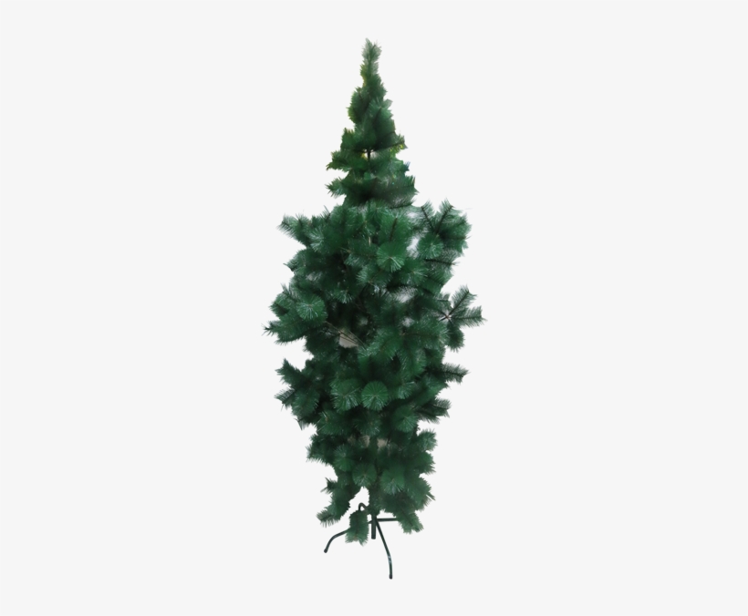 Inicio Festividades Navidad Árbol De Navidad Grande - 7ft Canadian Fir Tree Wilko, transparent png