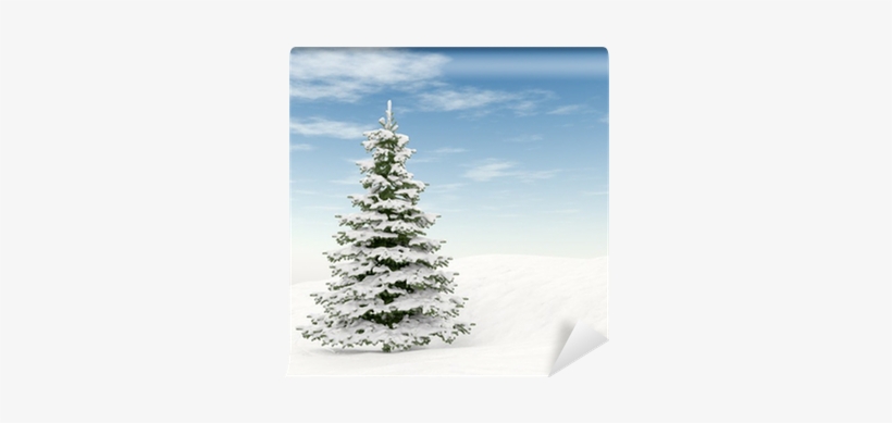 Fotomural Árbol De Navidad Y El Cielo Azul • Pixers® - Mine This Christmas Night [book], transparent png