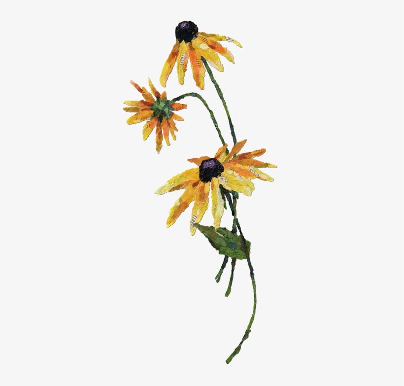 Paper, transparent png